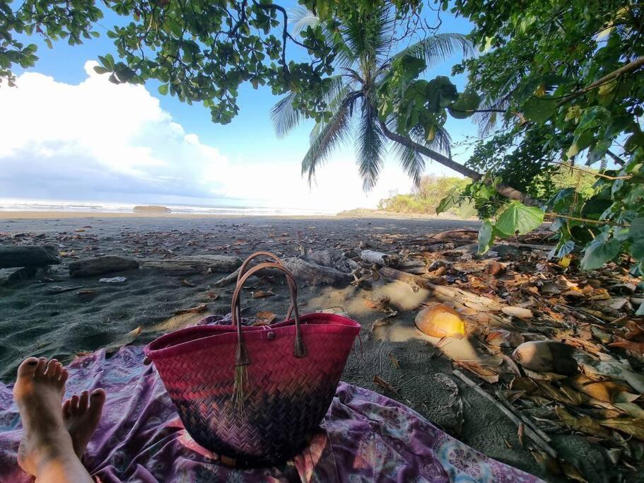 Villa Amor Del Mar With Breathtaking View Of Ocean & Jungle Dominical Eksteriør bilde