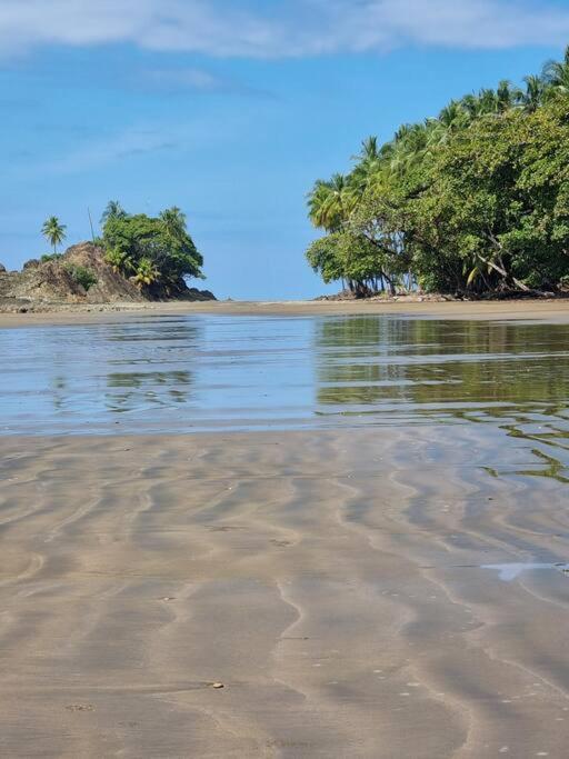 Villa Amor Del Mar With Breathtaking View Of Ocean & Jungle Dominical Eksteriør bilde