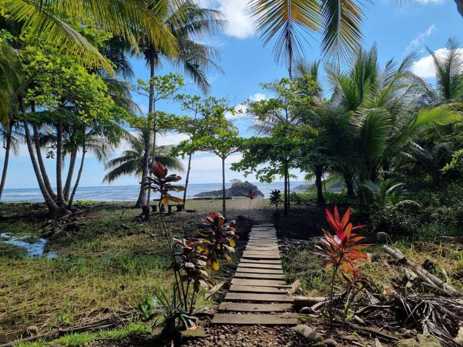 Villa Amor Del Mar With Breathtaking View Of Ocean & Jungle Dominical Eksteriør bilde