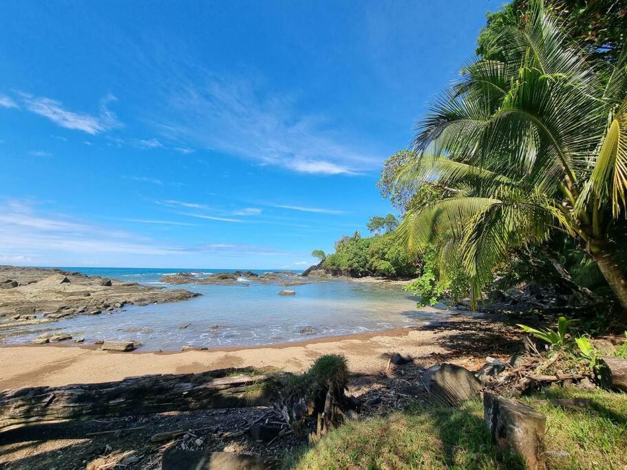 Villa Amor Del Mar With Breathtaking View Of Ocean & Jungle Dominical Eksteriør bilde