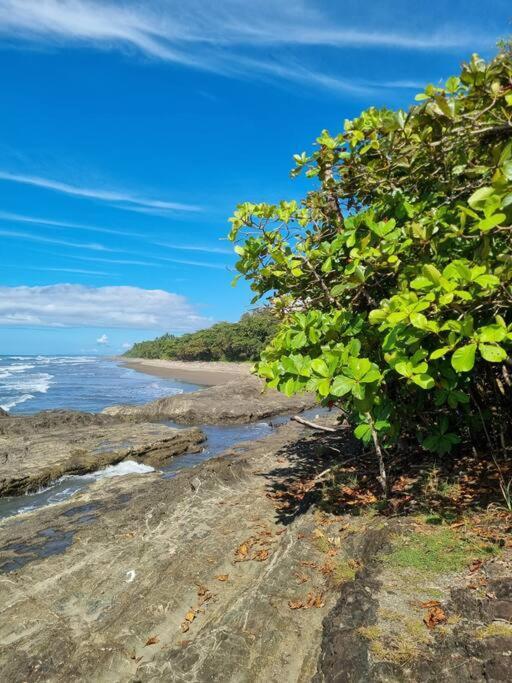 Villa Amor Del Mar With Breathtaking View Of Ocean & Jungle Dominical Eksteriør bilde
