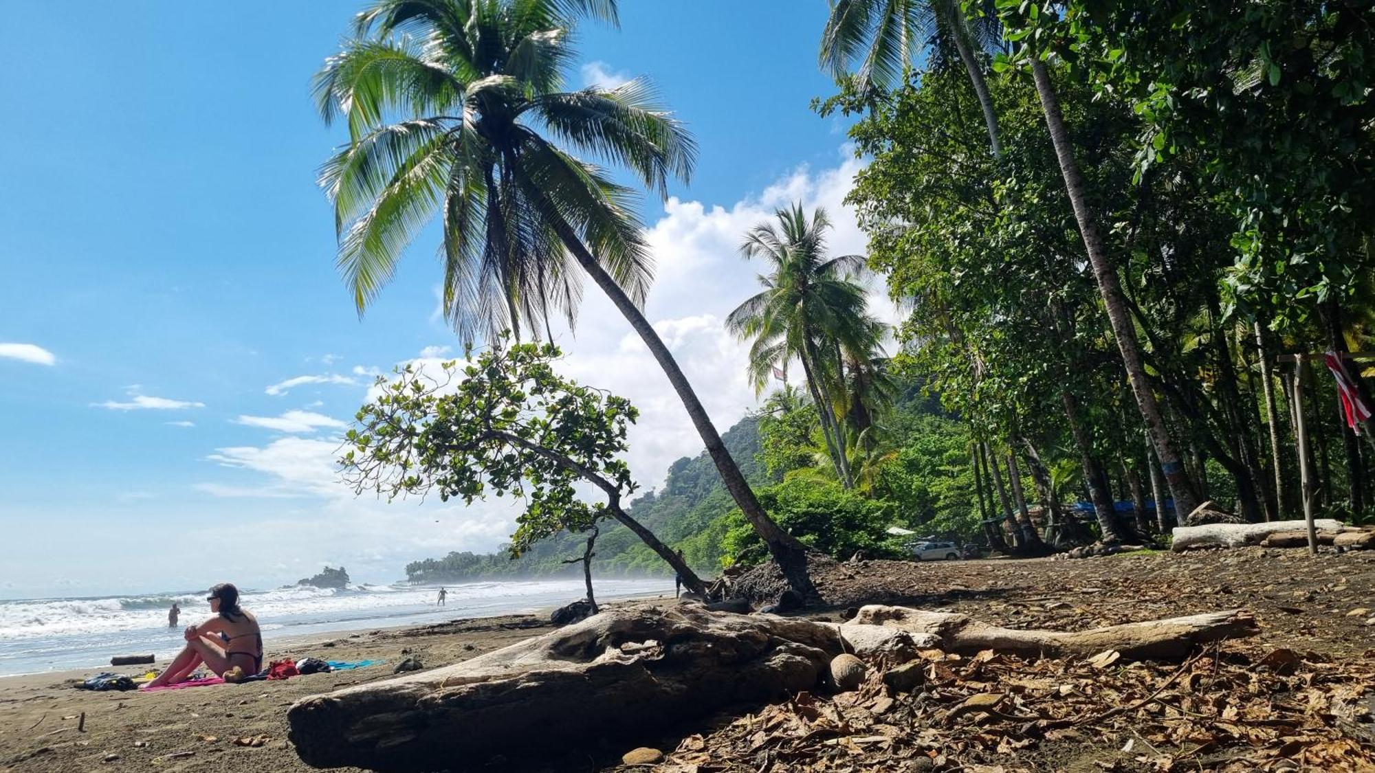 Villa Amor Del Mar With Breathtaking View Of Ocean & Jungle Dominical Eksteriør bilde