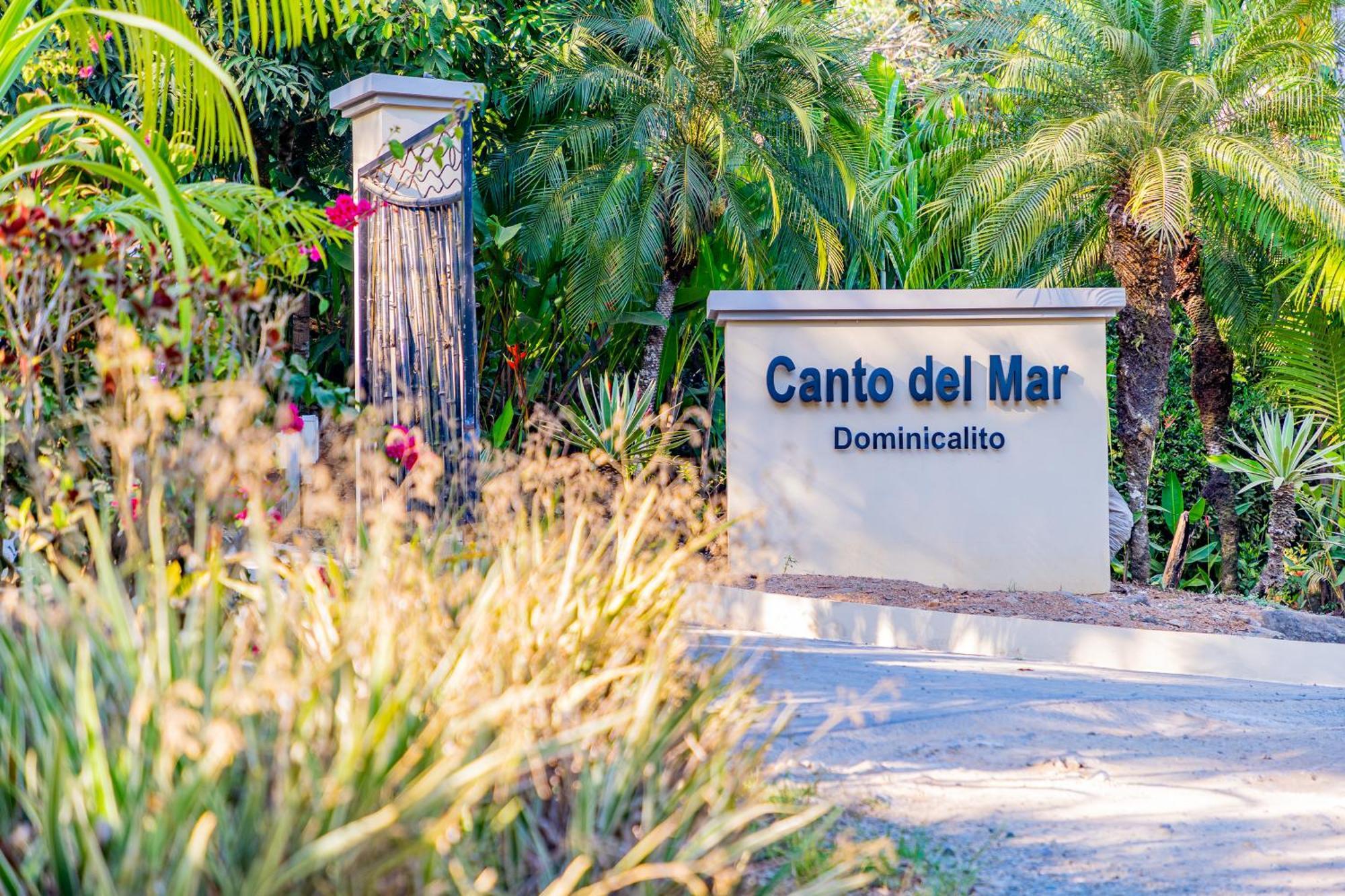 Villa Amor Del Mar With Breathtaking View Of Ocean & Jungle Dominical Eksteriør bilde